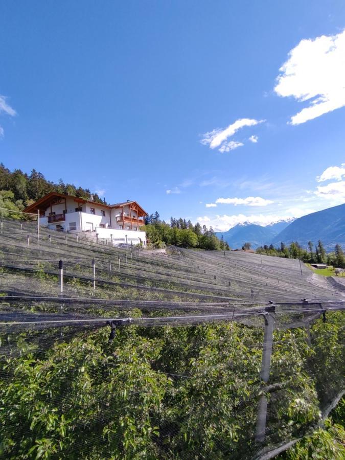 Pruensterhof Schenna Apartment ภายนอก รูปภาพ