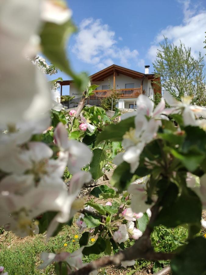 Pruensterhof Schenna Apartment ภายนอก รูปภาพ