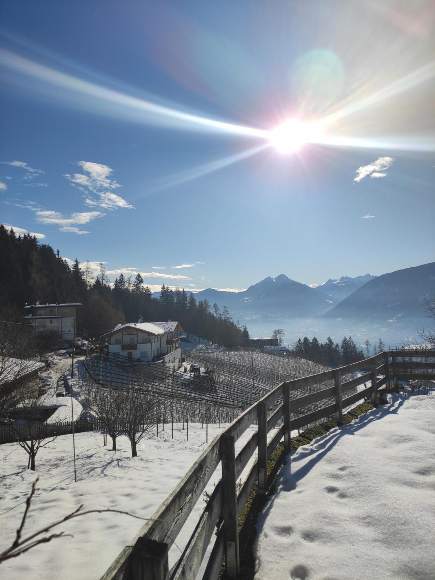 Pruensterhof Schenna Apartment ภายนอก รูปภาพ
