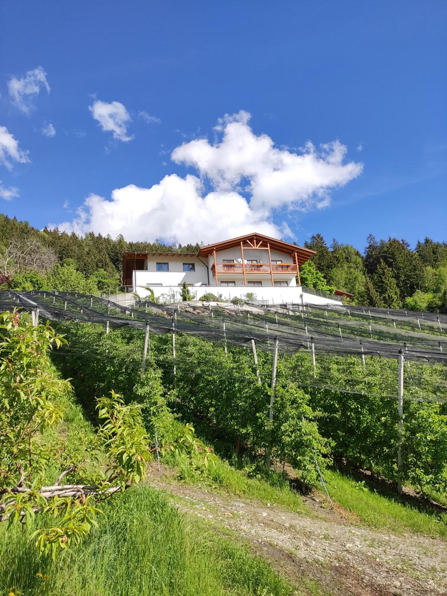 Pruensterhof Schenna Apartment ภายนอก รูปภาพ