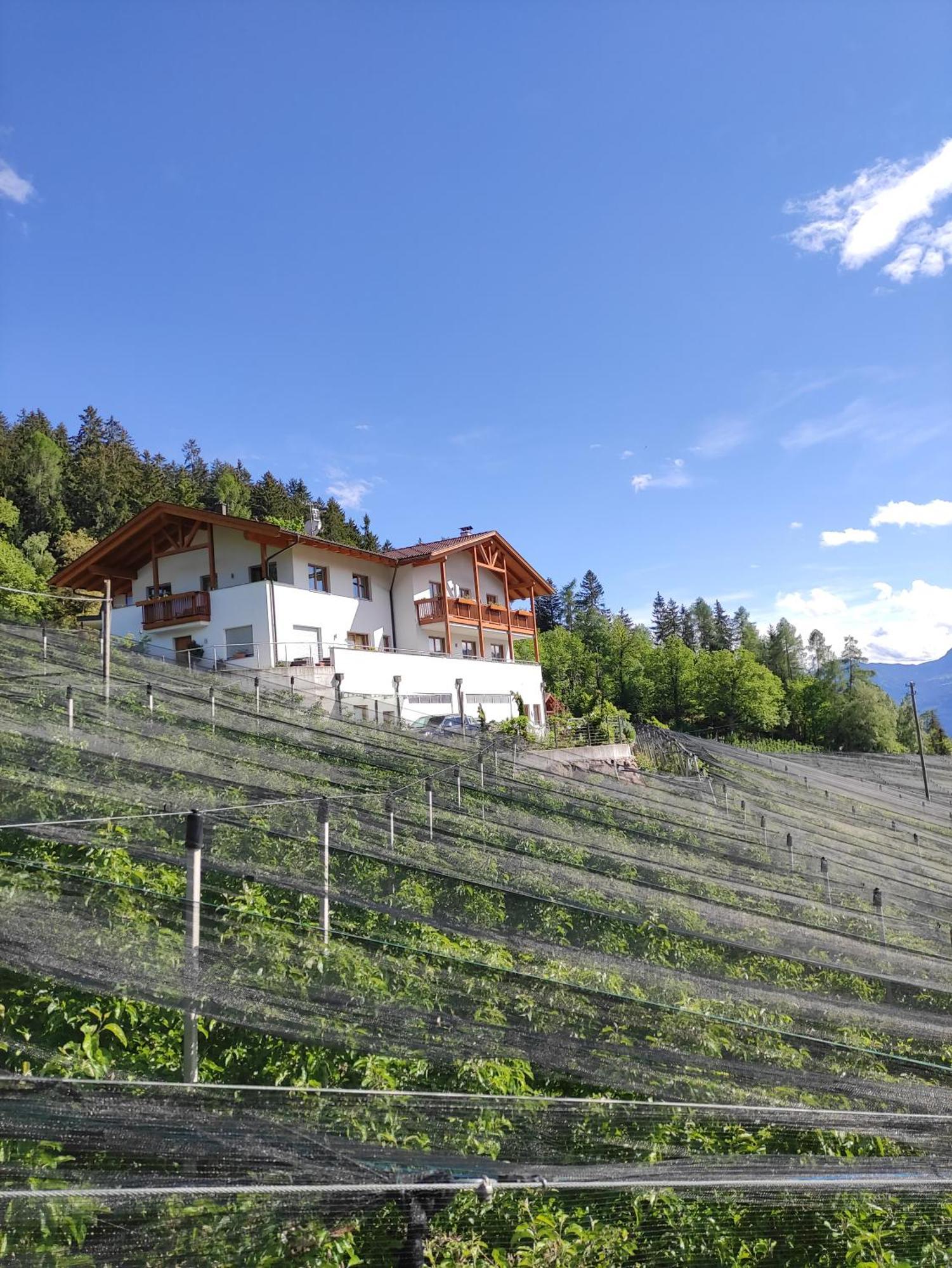 Pruensterhof Schenna Apartment ภายนอก รูปภาพ