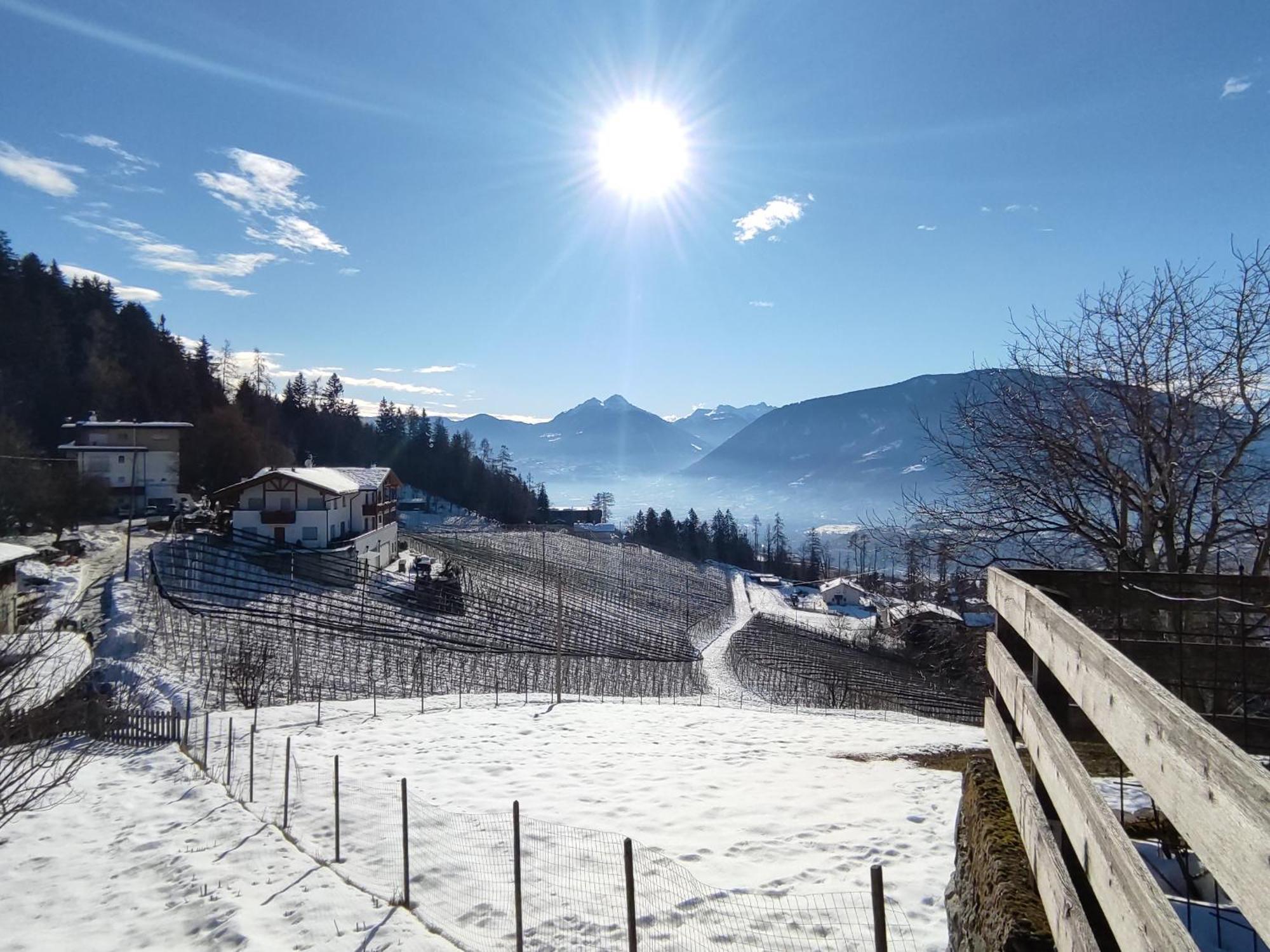 Pruensterhof Schenna Apartment ภายนอก รูปภาพ